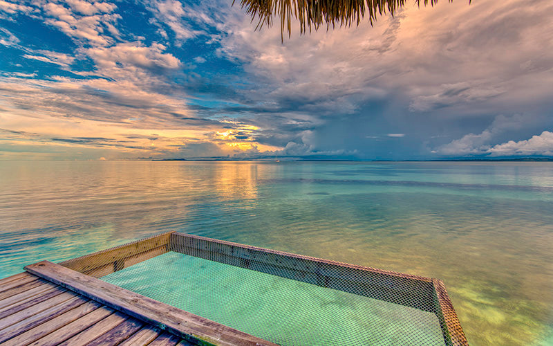 Wild Essence 5 Nights / 6 Days of Island Luxury + Adventure