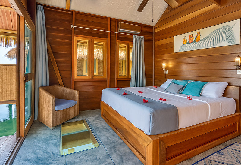 🌺 Wild Essence Retreat – Private Eco-Bungalow (Single Occupancy)